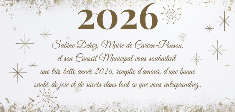 bonne ann&eacute;e site internet.jpg